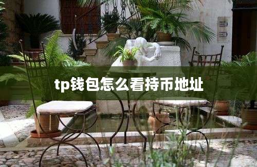 tp钱包怎么看持币地址