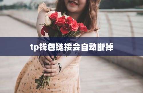 tp钱包链接会自动断掉