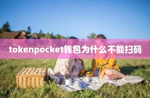 tokenpocket钱包为什么不能扫码