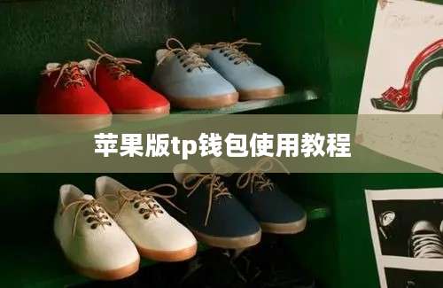 苹果版tp钱包使用教程