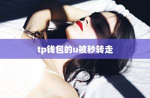 tp钱包的u被秒转走