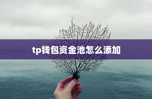 tp钱包资金池怎么添加