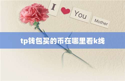 tp钱包买的币在哪里看k线