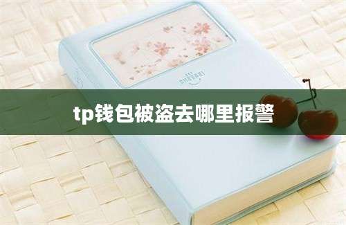 tp钱包被盗去哪里报警