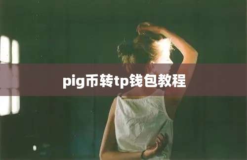pig币转tp钱包教程
