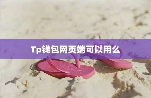 Tp钱包网页端可以用么