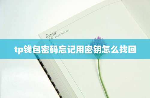 tp钱包密码忘记用密钥怎么找回