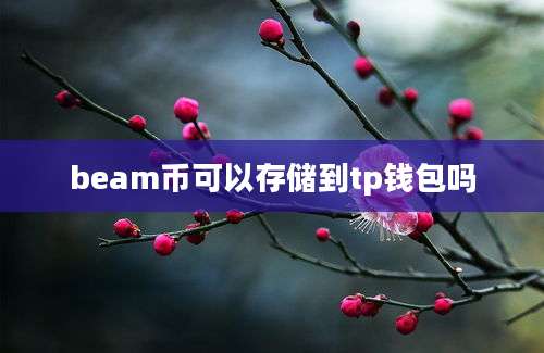 beam币可以存储到tp钱包吗