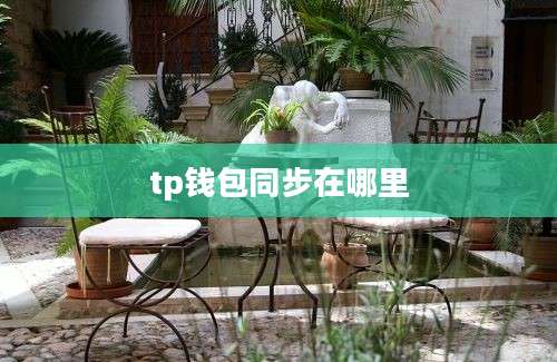 tp钱包同步在哪里