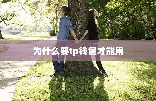 为什么要tp钱包才能用