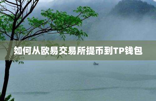 如何从欧易交易所提币到TP钱包