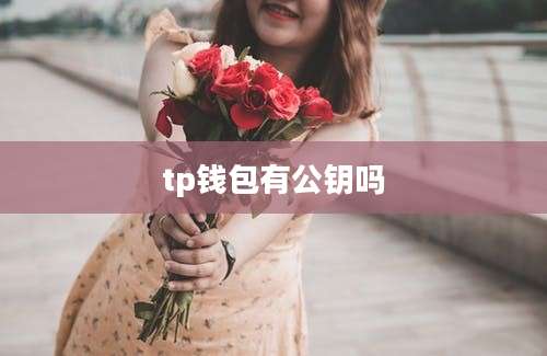 tp钱包有公钥吗