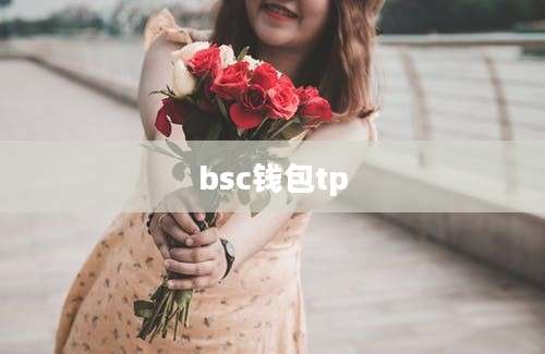 bsc钱包tp