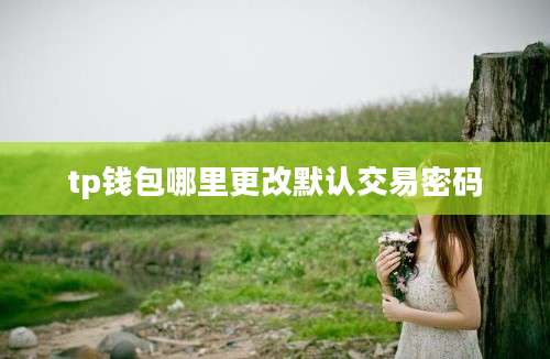 tp钱包哪里更改默认交易密码