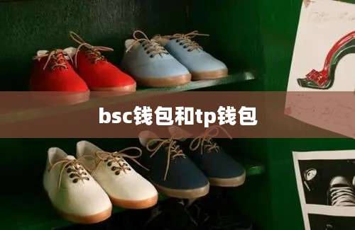 bsc钱包和tp钱包