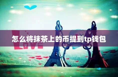 怎么将抹茶上的币提到tp钱包