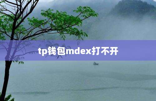 tp钱包mdex打不开