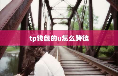 tp钱包的u怎么跨链