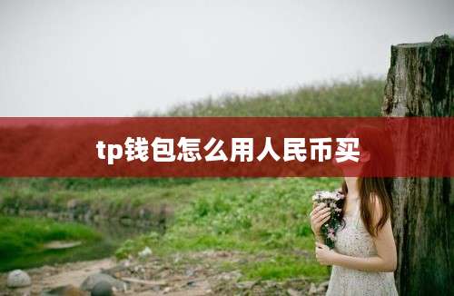 tp钱包怎么用人民币买