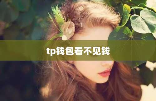 tp钱包看不见钱