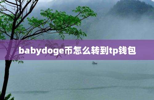 babydoge币怎么转到tp钱包
