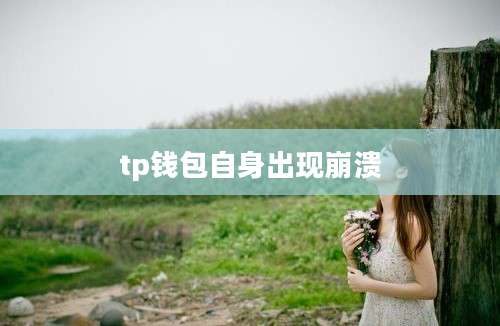 tp钱包自身出现崩溃