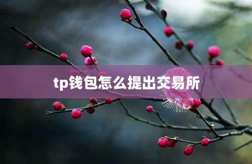 tp钱包怎么提出交易所