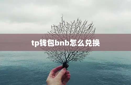 tp钱包bnb怎么兑换