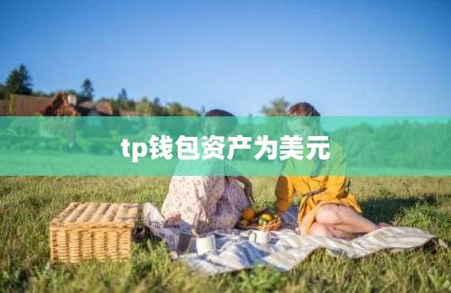 tp钱包资产为美元