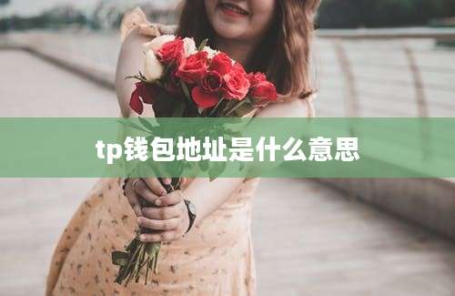 tp钱包地址是什么意思