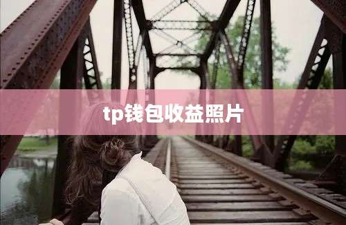 tp钱包收益照片