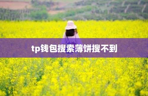 tp钱包搜索薄饼搜不到