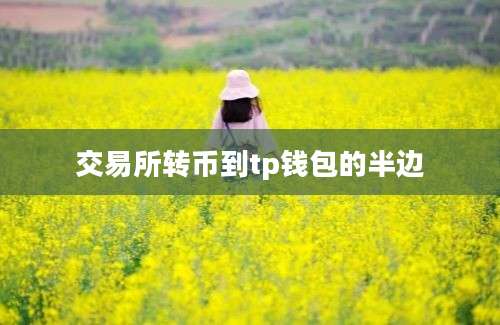 交易所转币到tp钱包的半边