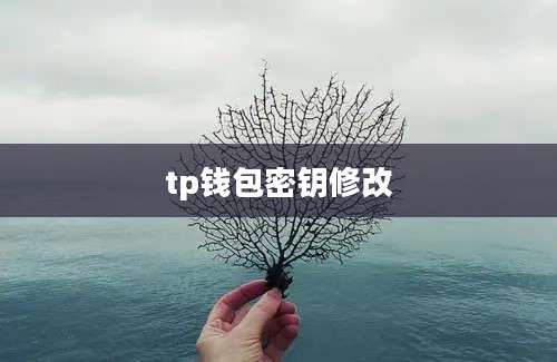 tp钱包密钥修改