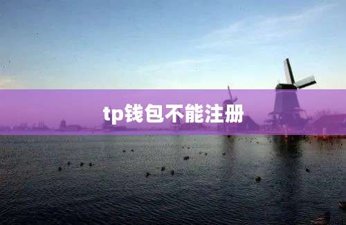 tp钱包不能注册