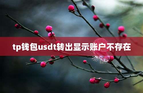 tp钱包usdt转出显示账户不存在