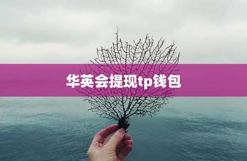 华英会提现tp钱包