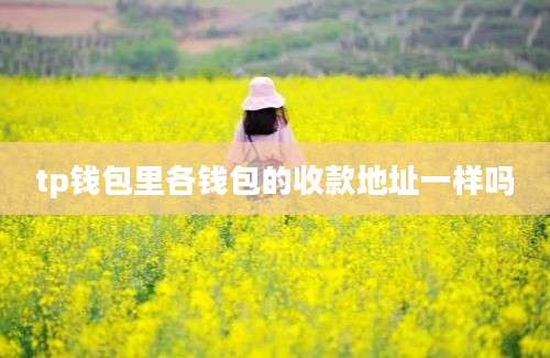 tp钱包里各钱包的收款地址一样吗