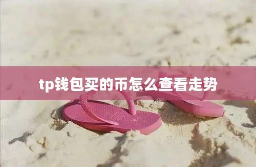 tp钱包买的币怎么查看走势