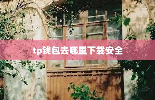 tp钱包去哪里下载安全
