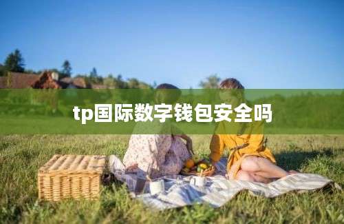 tp国际数字钱包安全吗