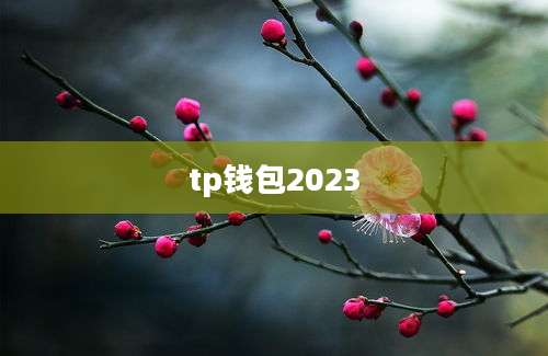 tp钱包2023