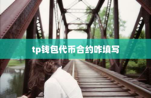 tp钱包代币合约咋填写