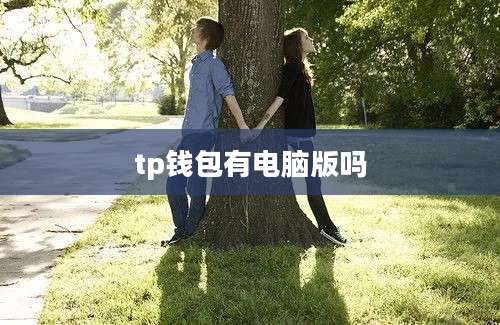 tp钱包有电脑版吗
