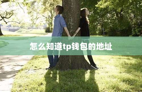 怎么知道tp钱包的地址