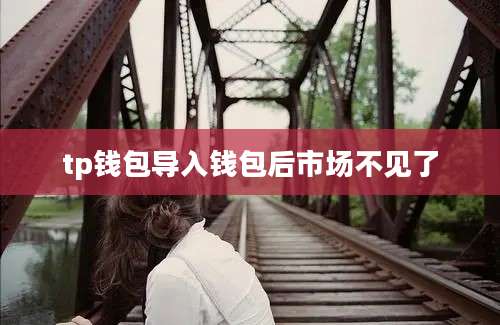 tp钱包导入钱包后市场不见了