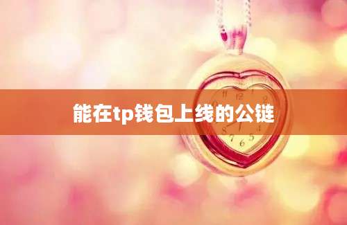 能在tp钱包上线的公链