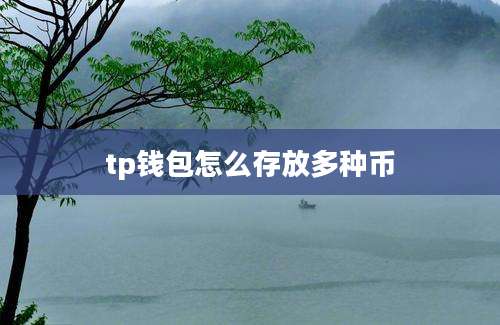 tp钱包怎么存放多种币