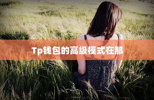 Tp钱包的高级模式在那