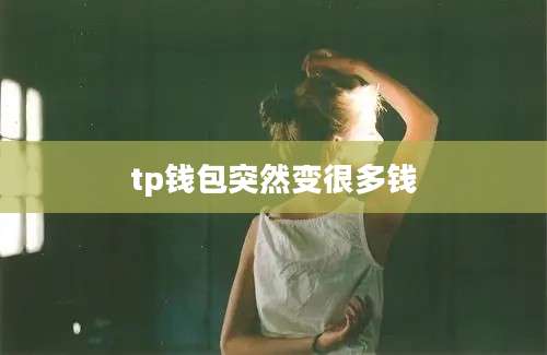 tp钱包突然变很多钱